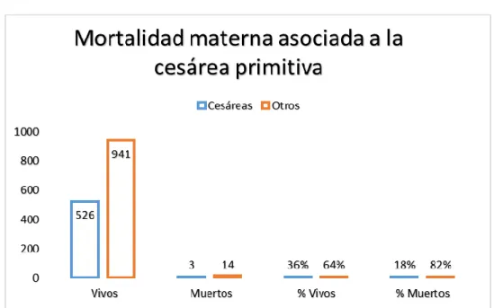 Ilustración 4. Mortalidad materna 