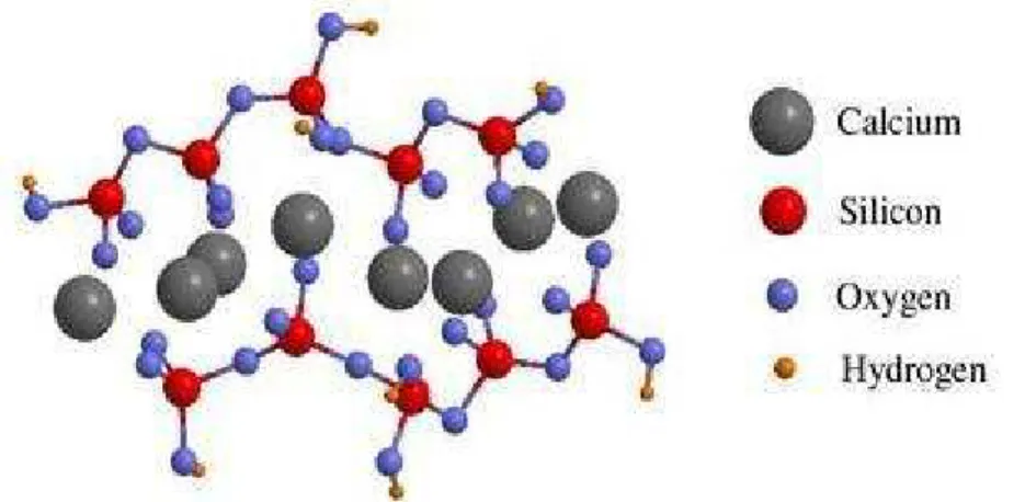Fig. 3.14. Estructura de las moléculas de C-H-S [31] 