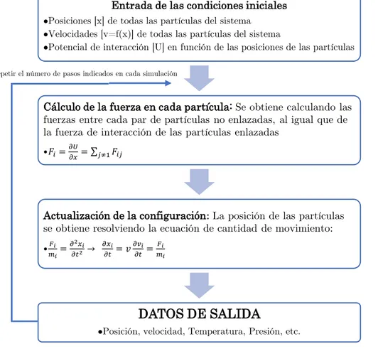Figura 19: Algoritmo de la ejecución de cálculos en dinámica molecular (37) 