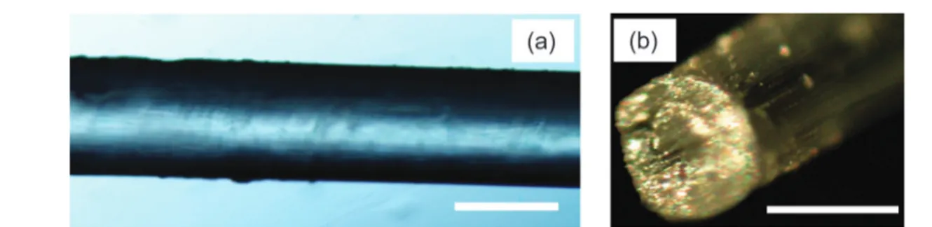 Fig. 1 (a) Lateral surface of a silkworm gut as observed with an optical microscope. (b) Cross sectional area of a silkworm silk