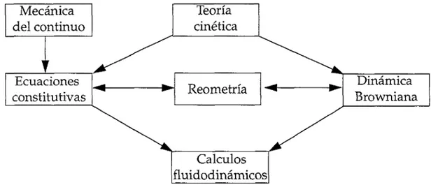 Figura 1.2 Relaciones entre los distintos campos de la fluidodinámica 