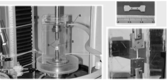 Figure 1. Left: The arterial specimen (B) mounted with two steel fixtures (D) inside a controlled  temperature chamber and the tensile testing machine