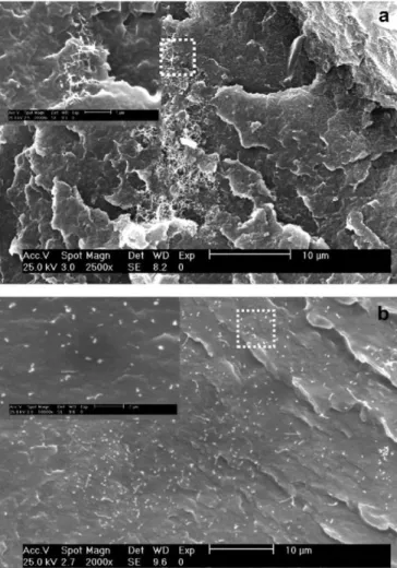 Fig. 1. SEM images from fractured surfaces of PPS nanocomposites with an effective  CNT content of 1.0 wt%: (a) PPS/SWCNT&#34;; (b) PPS/PPS-NH 2 -g-SWCNT