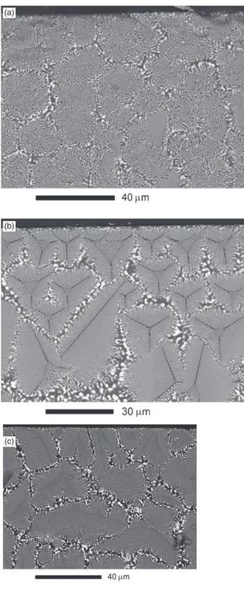 Fig. 4 led to an estimation of 44 W/cm for the minimum power to initiate melting when the width of the laser beam was 1 mm and the specimens were preheated at 9801C