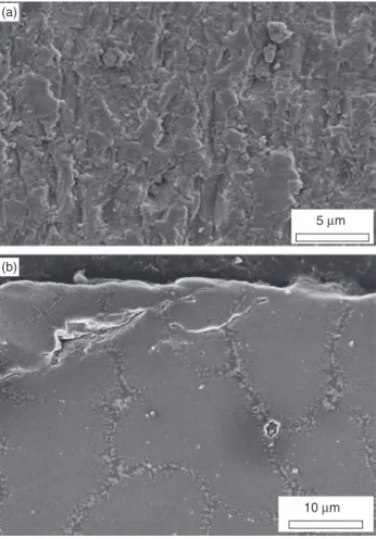 Fig. 11. Wear mechanisms in sintered material, which presented the lowest wear resistance