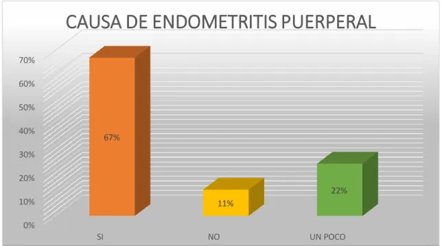 Gráfico 1.  