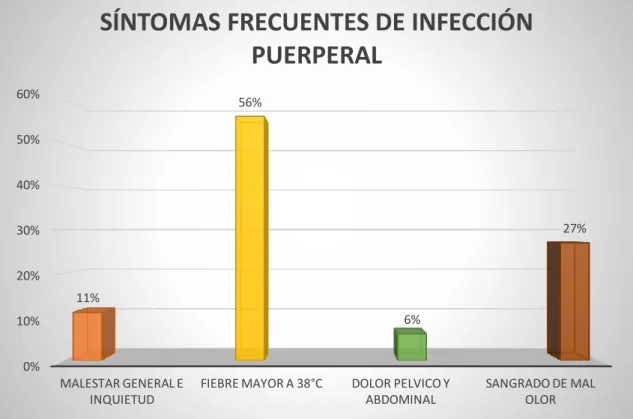 Gráfico 2.  