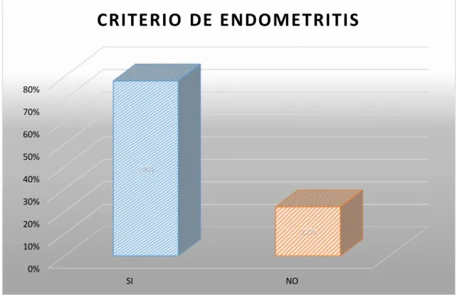 Gráfico 7.  