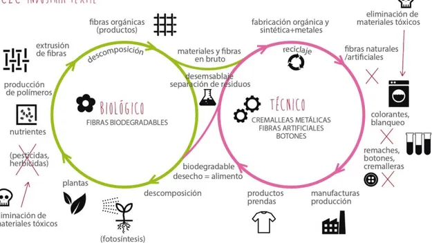 Fig. 7 Ejemplo de ciclo biológico y técnico para la industria textil. 