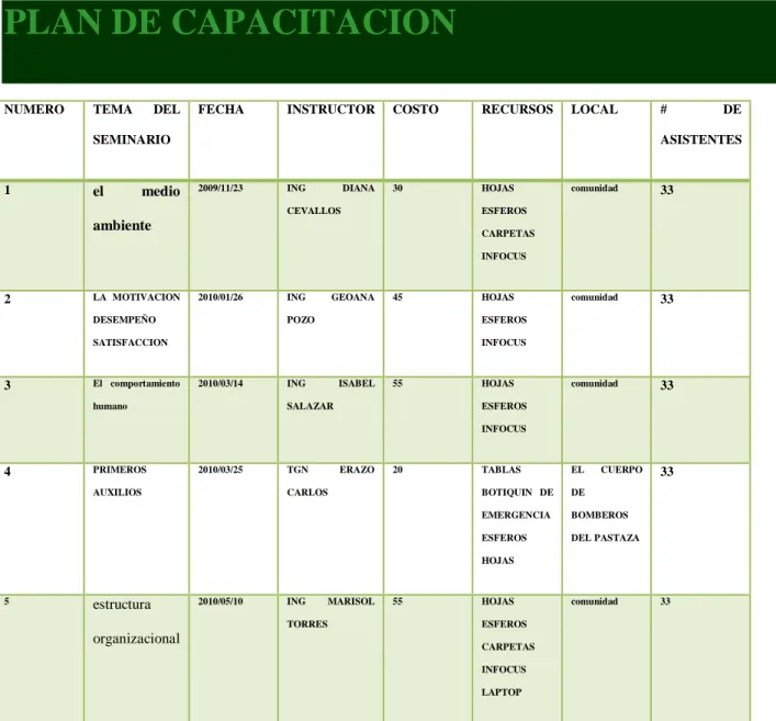 CUADRO  Nº8  PLAN DE CAPACITACION 