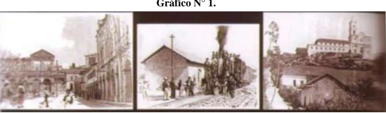 Gráfico N° 1. 