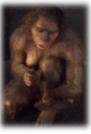 Ilustración 9: Homo habilis.  Fuente: Elaboración propia.  Museo de la Evolución Humana 