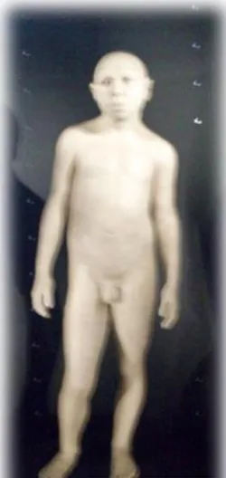 Ilustración 13: Homo Antecessor.  Fuente: Elaboración propia.  Museo de la Evolución Humana 