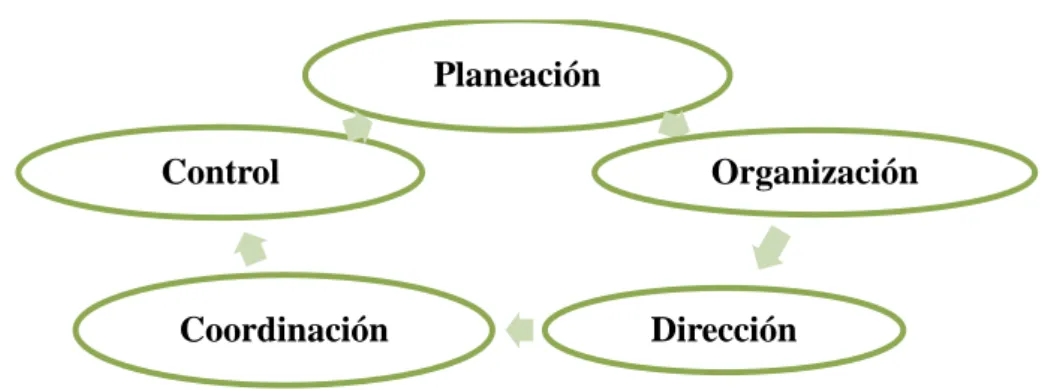 Gráfico 7: Proceso administrativo 