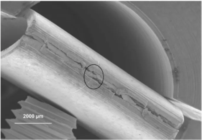 Fig. 6. As-received sample after RCT. Fig. 9. Crack detail of an as-received sample. 