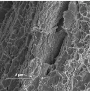 Fig. 10. Crack detail of a sample with 500 ppm of hydrogen. 
