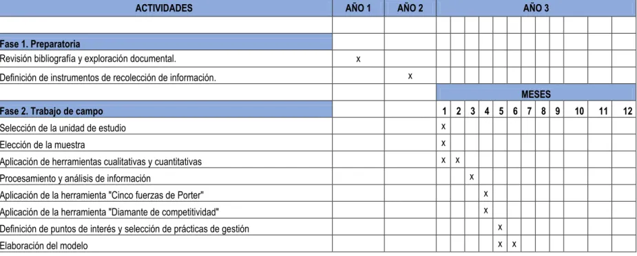 Cuadro 4. Cronograma de actividades.  