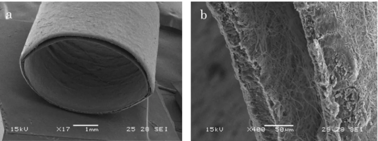 Fig. 4 (a) shows some representative engineering stress –strain
