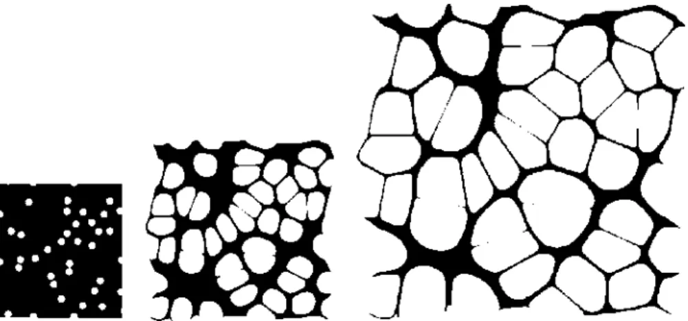 Figure 6. Evolution of the microstructure in the porous elastomer with/ 0  = 0.1 subjected to  i n - p l a n e isotropic deformation