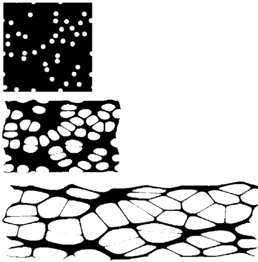 Figure 9. Evolution of the microstructure in the porous elastomer with/ 0  = 0.1 subjected to  uniaxial elongation
