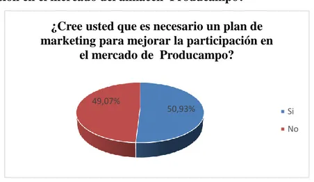 Gráfico 9 Plan de Marketing 