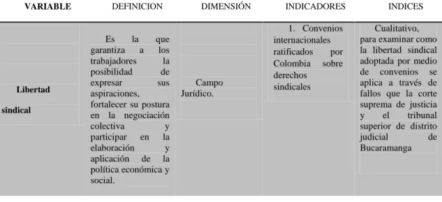 Tabla 1. Definición y operacionalizacion de las variables (Continua)