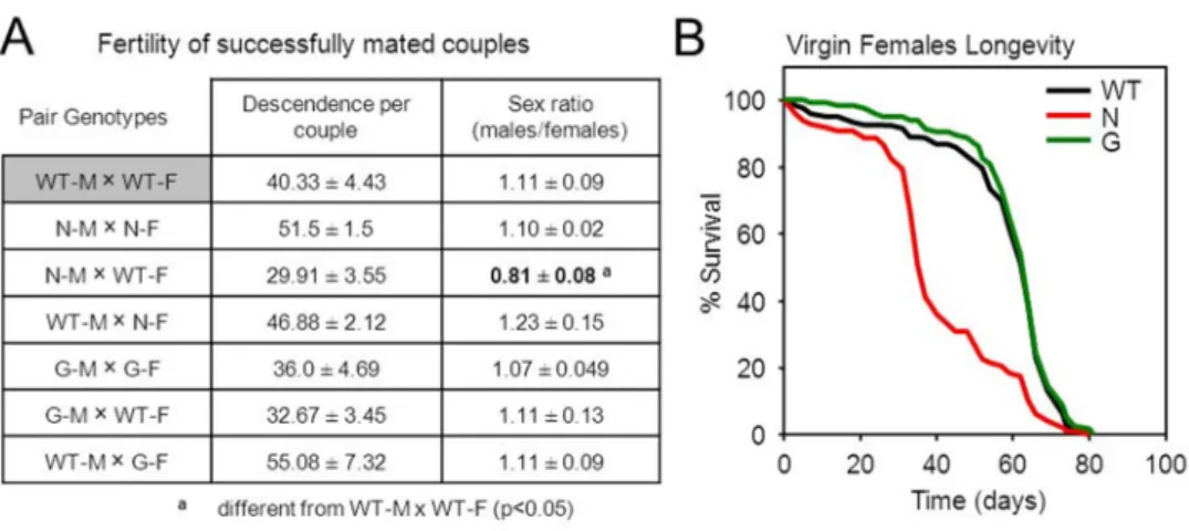 Figure S3.  (A)  Fertility  couples from test (p<0.05) 5 ), but is simi Reproductio of successful m courtship be): a Different filar to wild ty n –Lifespan rlly mated muehavior analysfrom WT-M xype in GLaz-/-  m relationship.