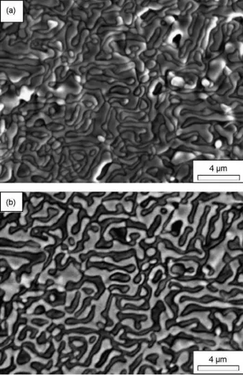 Fig. 8. Fracture surface of the AI2O3-YAG DSEO tested at 1900 K. (a) Sec- Sec-ondary electron image and (b) back-scattered electron image