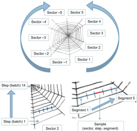Fig. 1. Scheme of an orb web illustrating the code used for  the identification of the samples with three integers (sector,  step, segment)
