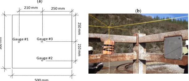 Figure 2.  (a) Sketch of the aluminium plate showing its dimensions and the position of the three 
