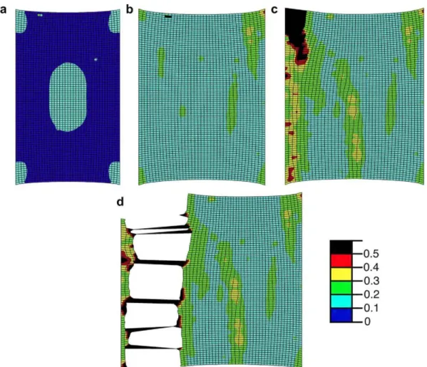 Fig. 7. Contour plot of the average damage variable D in the smooth specimen subjected to uniaxial tension, (a) Applied strain of 0.16, corresponding to point (a) in Fig