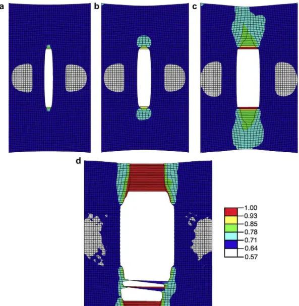 Fig. 12. Contour plot of the fiber orientation index fi in the notched specimen subjected to uniaxial tension, (a) Applied strain of 0.13, corresponding to point (a) in Fig