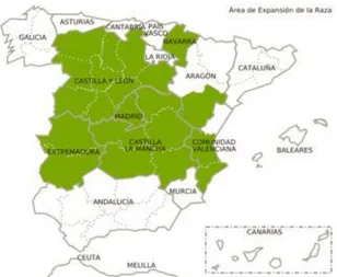 Figura 3. Distribución geográfica  de la raza Assaf española 