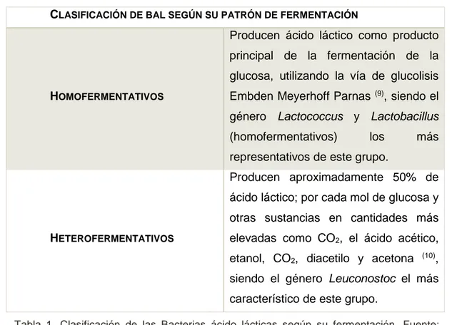 Tabla 1. Clasificación de las Bacterias ácido lácticas según su fermentación. Fuente:  Elaboración propia