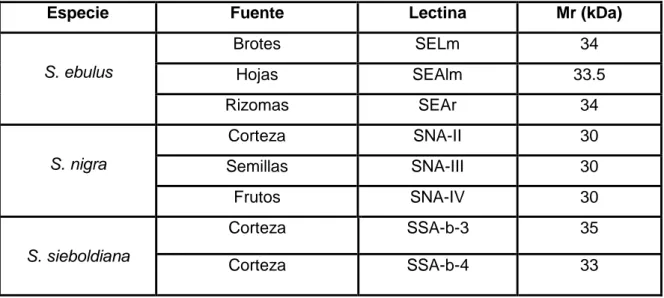 Tabla 1. Lectinas monoméricas procedentes del  S. ebulus, S. nigra y la variedad  japonesa S