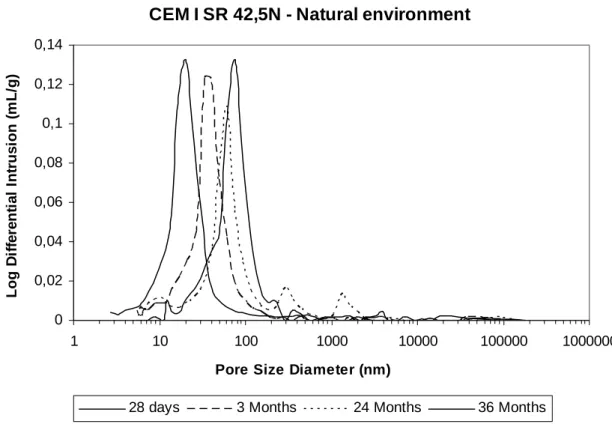 Figure 6. Pore-size distribution for the CEM I cement in the natural environment. 