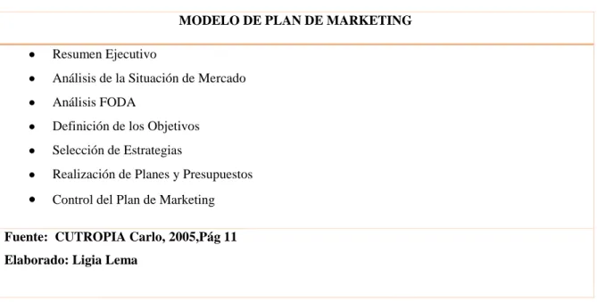 CUADRO 3: MODELO DE PLAN DE MARKETING 