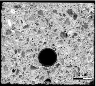 Figure 8: Radial micro-cracks observed in a corroded sample when looking under the microscope