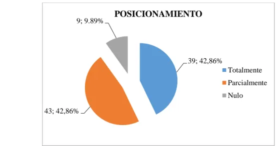 Ilustración 4. Posicionamiento de Producauchos 