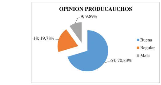 Ilustración 6. Opinión de los clientes sobre Producauchos 