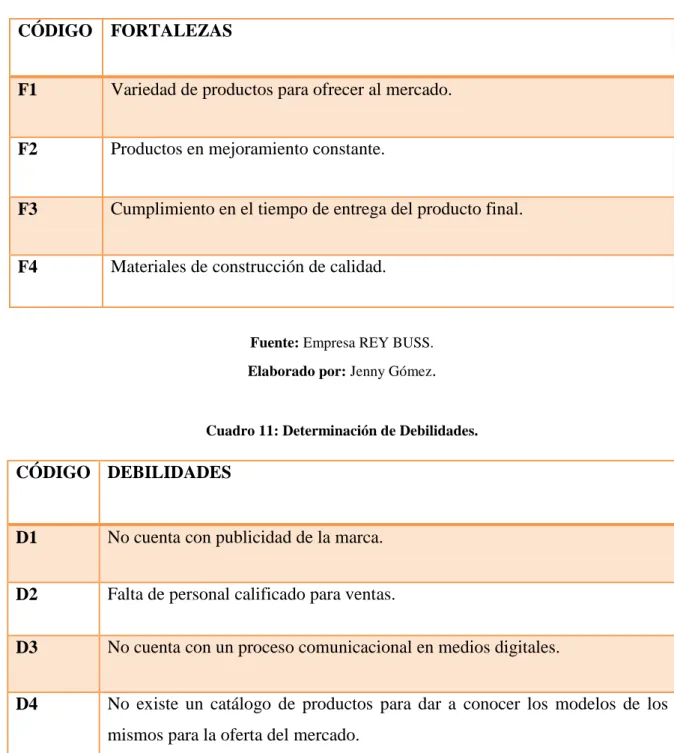 Cuadro 11: Determinación de Debilidades.