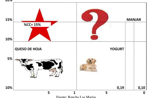 Tabla N° 8 Representación del análisis BCG