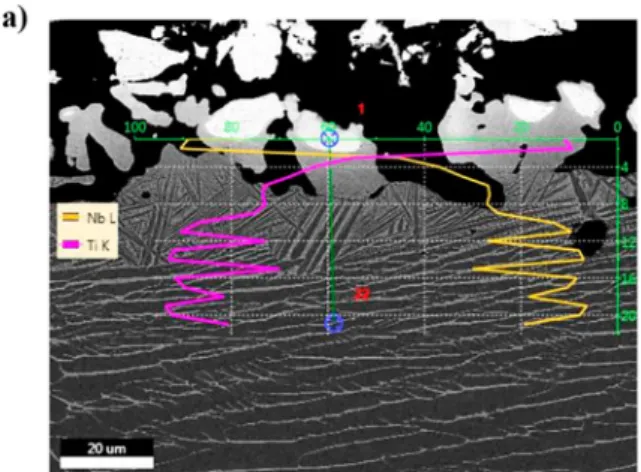 Figure 3. (a) Profile line analysis and (b) phase mapping showing the element distribution and phase transformation for the SintTi – Nb material.