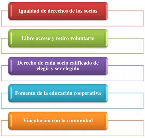 Gráfico 16: Principios institucionales
