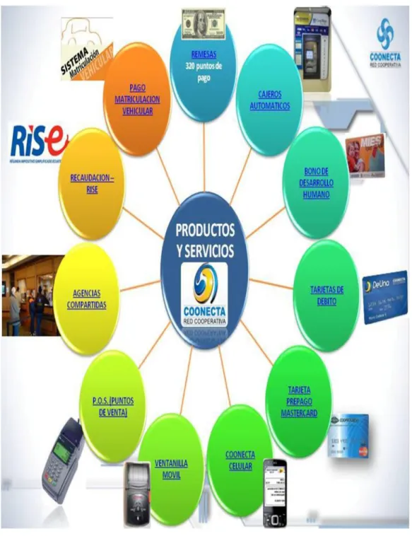 Gráfico 20: Productos y Servicios COONECTA