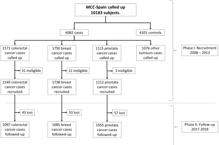 Figure 1  Flow chart of the participants in the MCC- Spain study. MCC- Spain, multicase- control study in Spain.