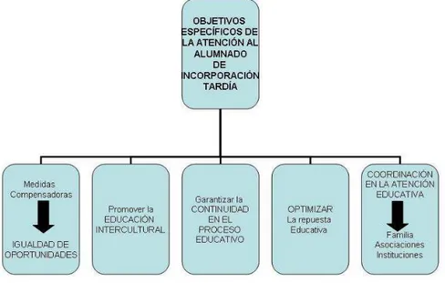 Cuadro  1.11.  Objetivos  específicos  de  la  atención  al  alumnado  de  incorporación tardía