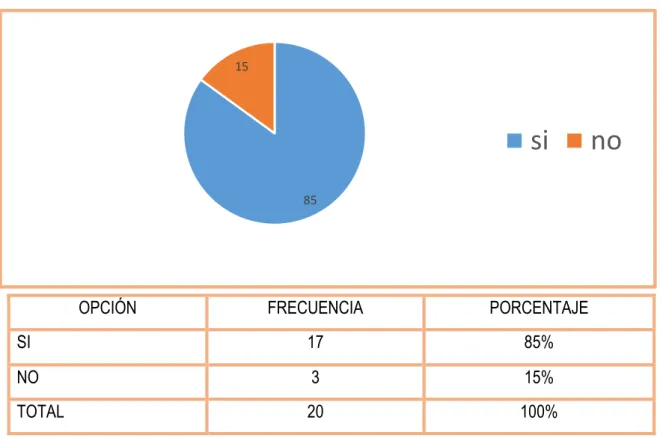 Figura 6: Encuestas realizadas pregunta 4 