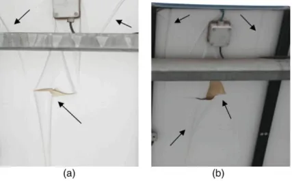 Figure 3. Visual defects appeared after the first 17years of operation: backsheet delamination at the outer polyester/polyviny 