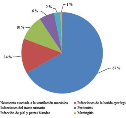 Fig. 4 - Distribución de los aislamientos de Acinetobacter spp. según diagnóstico infectológico